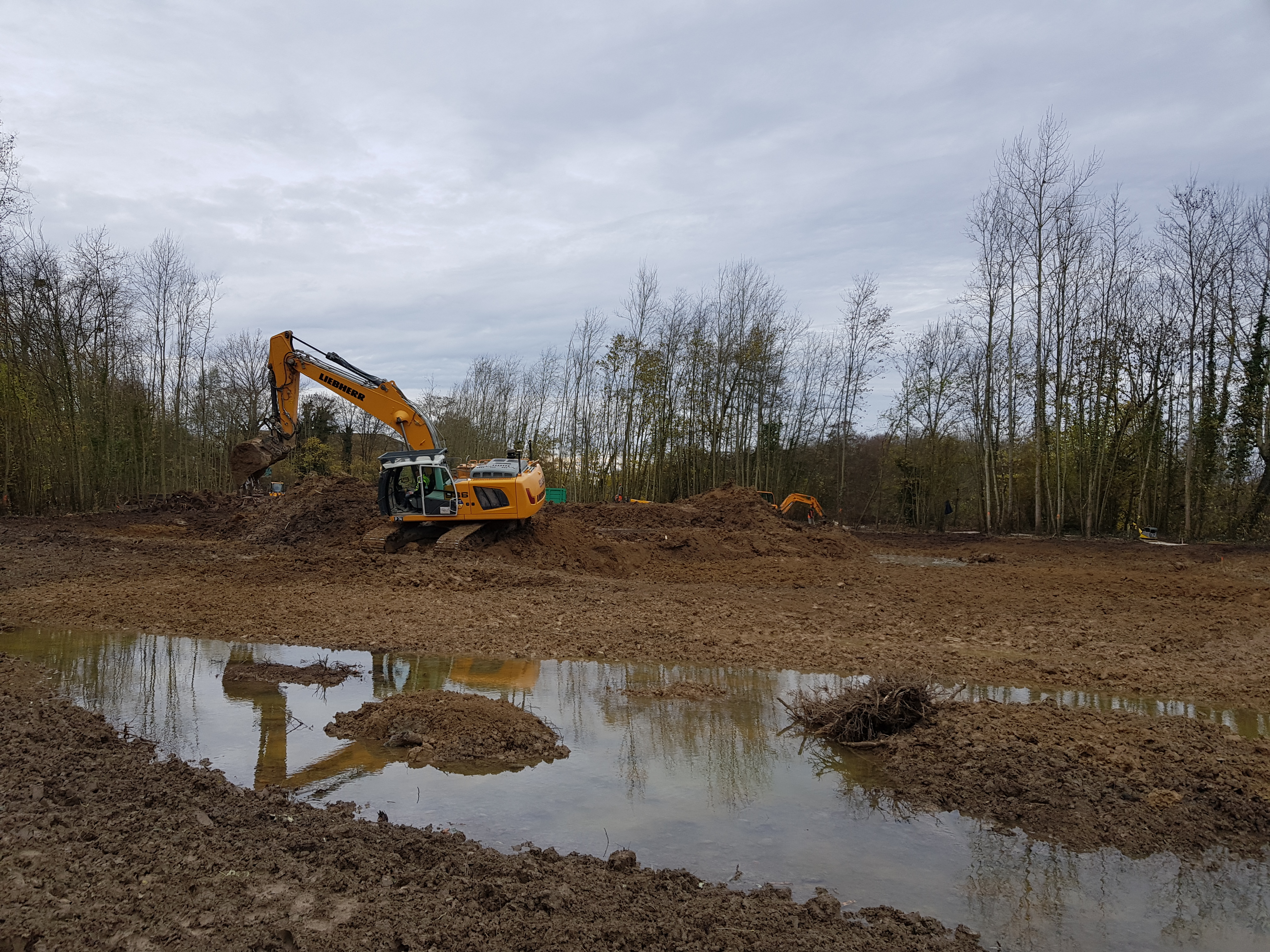 Création d'une zone humide - Torcy